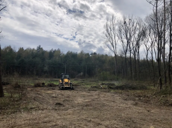 Корчування пнів, розчищення ділянок. Зрізання дерев.Копання траншей.