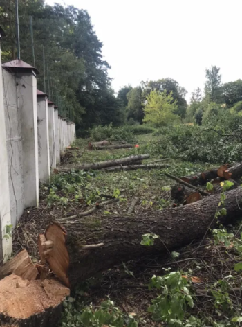 Зрізання,зруб,обрізка дерев.Покіс трави.Чистка ділянок.