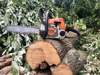 Зрізання дерев,чистка ділянок,покіс,косіння трави,бур‘янів.