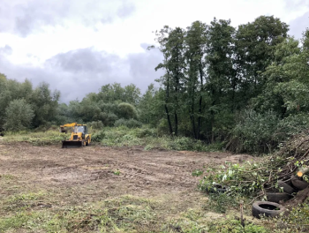 Розчищення ділянок.Зрізання дерев.Покіс трави.