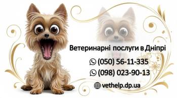 Ветлікар на дім Дніпро –  Огляд, Уколи, Кастрація