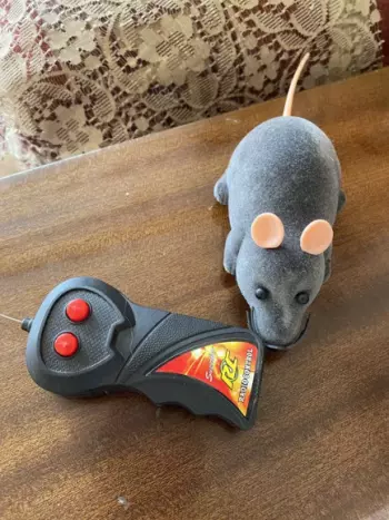 Мышь для кота на радиоуправлении