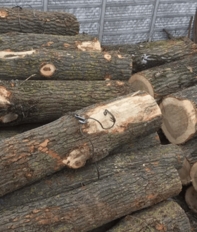 Дрова от 500грн Твердых пород