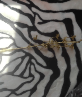 Золотая веточка с пчёлками для декора