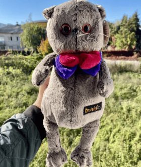 Кот Басик Джентельмен и кошечка Лили. Кот Басик с бабочкой. 35 см.