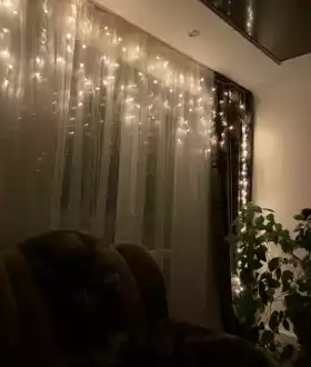 Гірлянда Дощ