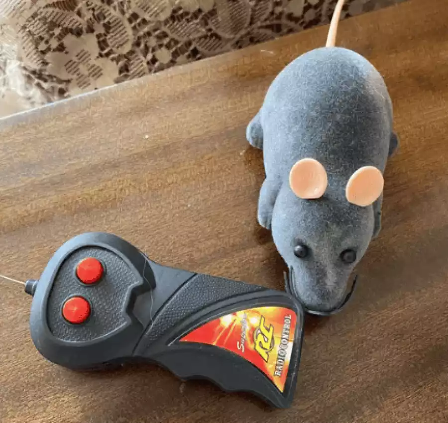 Снимок экрана 2022-11-01 104540