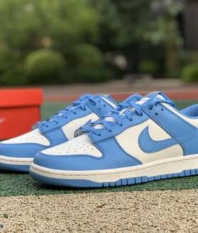 Кроссовки Nike Dunk Low Coast Blue White Найки Данки голубые белые