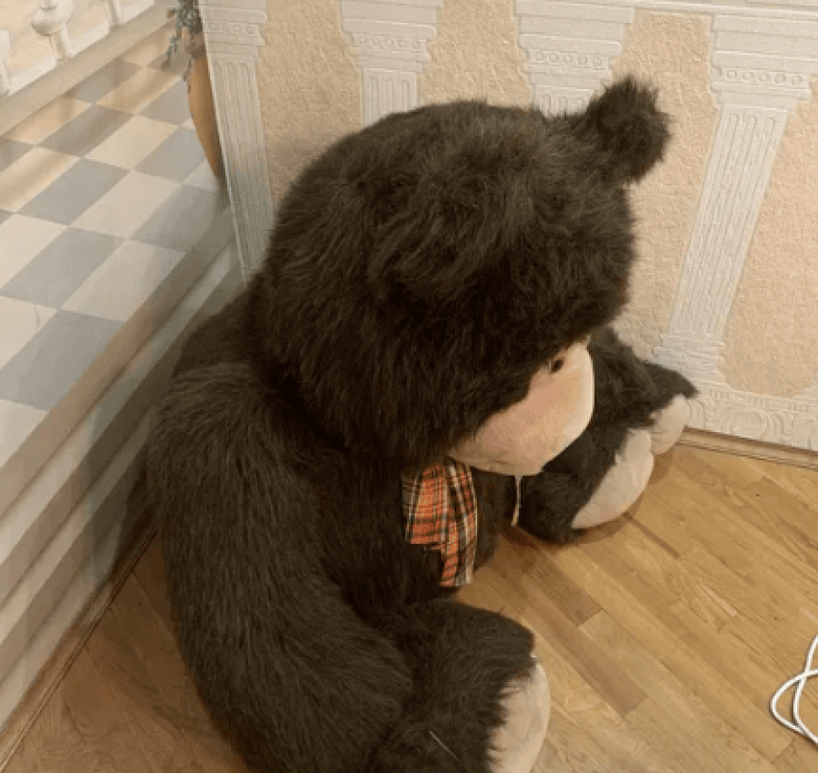 Мишка игрушка большой 2