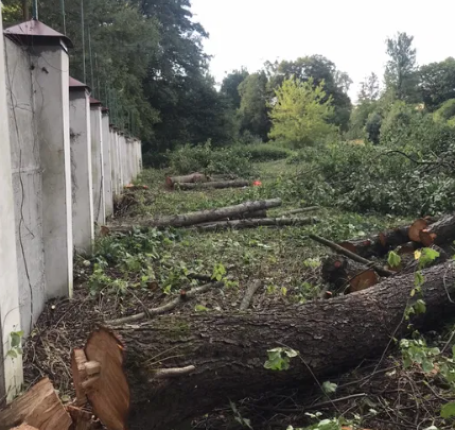 Зрізання,зруб,обрізка дерев.Покіс трави.Чистка ділянок 2