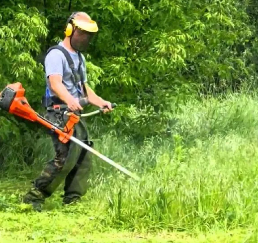 Чистка ділянок, зрізання дерев, вивіз сміття 4