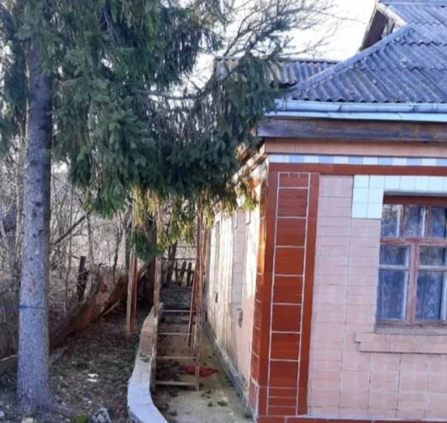 Дом сдача аренда 5