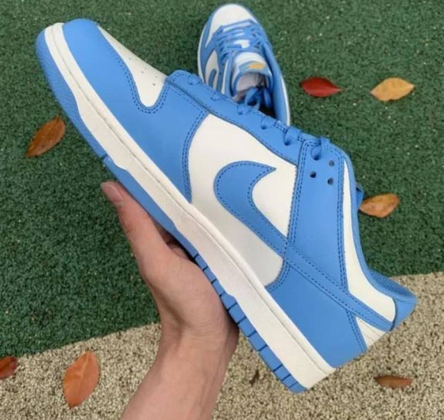 Кроссовки Nike Dunk Low Coast Blue White Найки Данки голубые белые 3