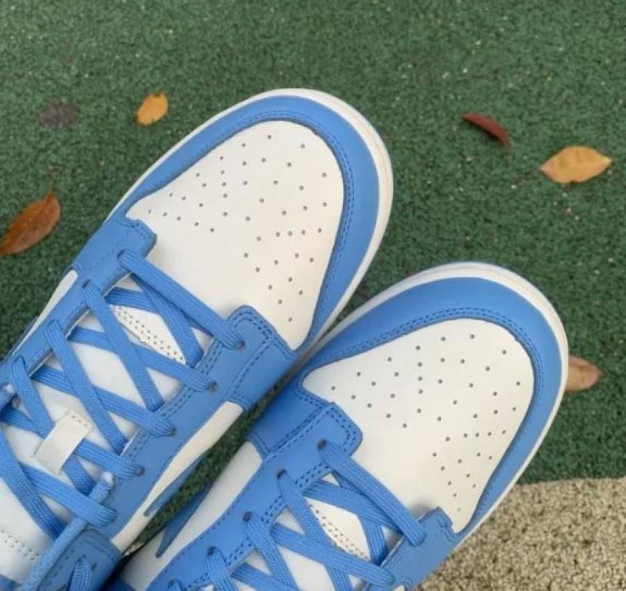 Кроссовки Nike Dunk Low Coast Blue White Найки Данки голубые белые 4