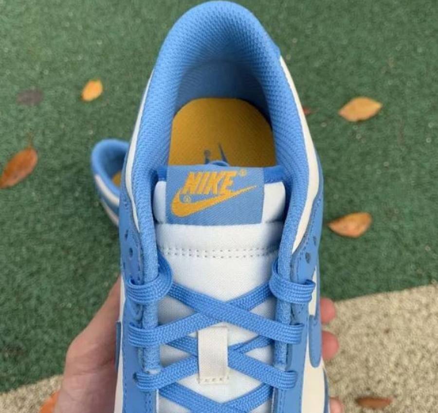 Кроссовки Nike Dunk Low Coast Blue White Найки Данки голубые белые 7