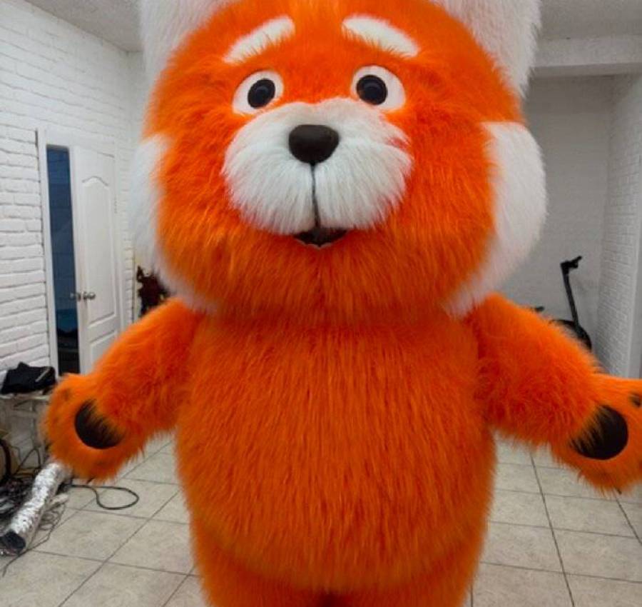 Kostium_naduvnyi_Chervona_panda_1