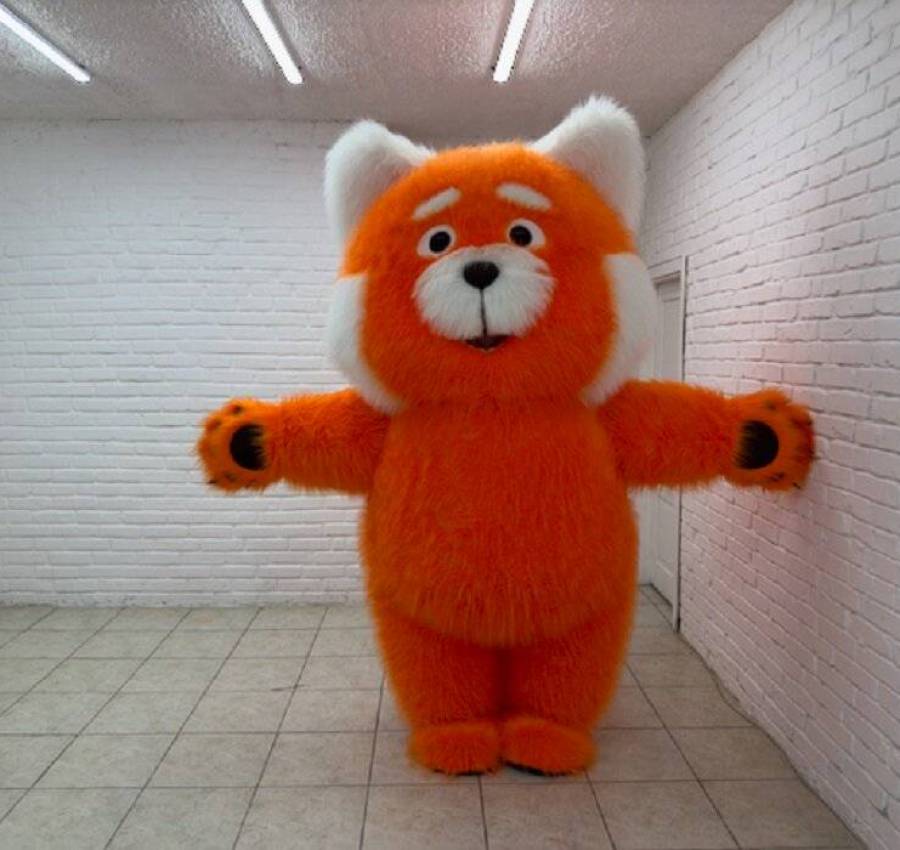 Kostium_naduvnyi_Chervona_panda_8