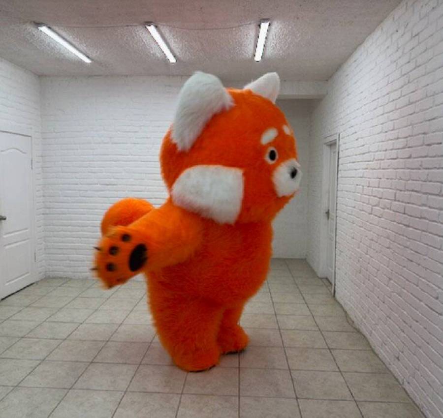 Kostium_naduvnyi_Chervona_panda_9