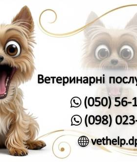 Ветлікар на дім Дніпро –  Огляд, Уколи, Кастрація