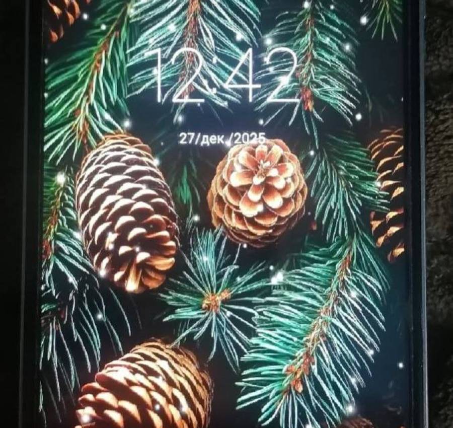 photo_8_2025-12-27_12-56-19